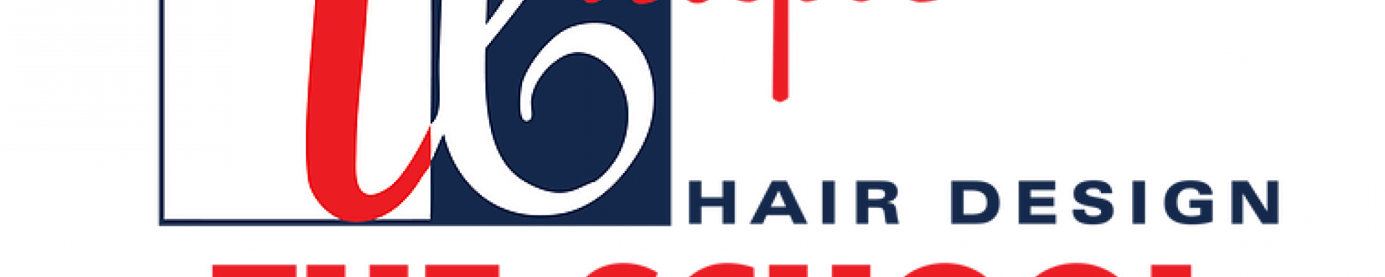 Unique Hair Design- The School